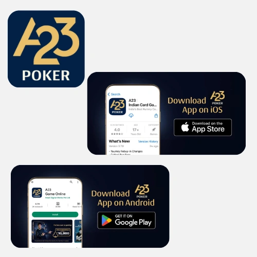 a23 mobile app asset